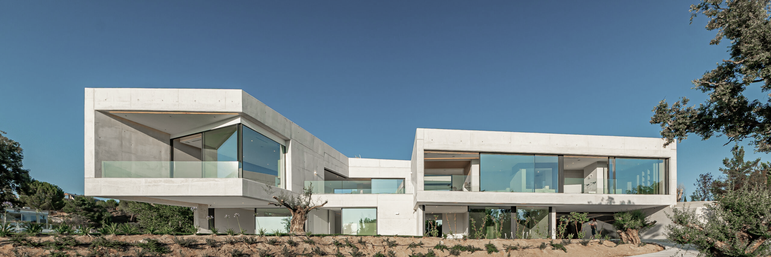 Villa contemporánea de NATURARQ de hormigón visto entre olivos
